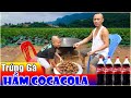 Trứng Gà Ủ Cô Ca 48h - Mao Đệ Biến Món Ăn Ngon Thành Món Ăn Cho Lợn Chỉ Vì Lỡ Tay