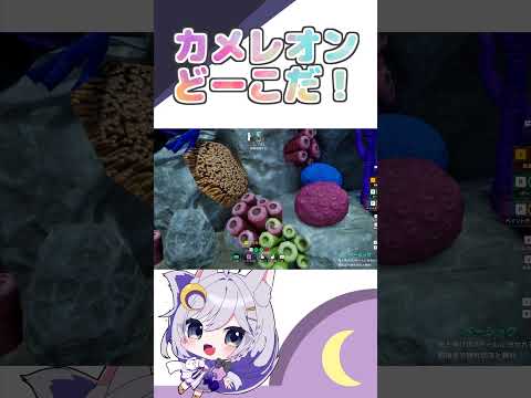 Under the Seaでカメレオンどーこだ！【めっちゃカメレオン / エフィーナ】#Shorts