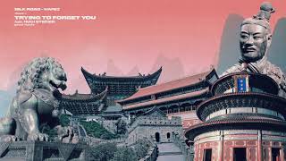 Warez - Trying To Forget You (feat. Niah Steiner) [prod. AcjnN] - SILK ROAD #11