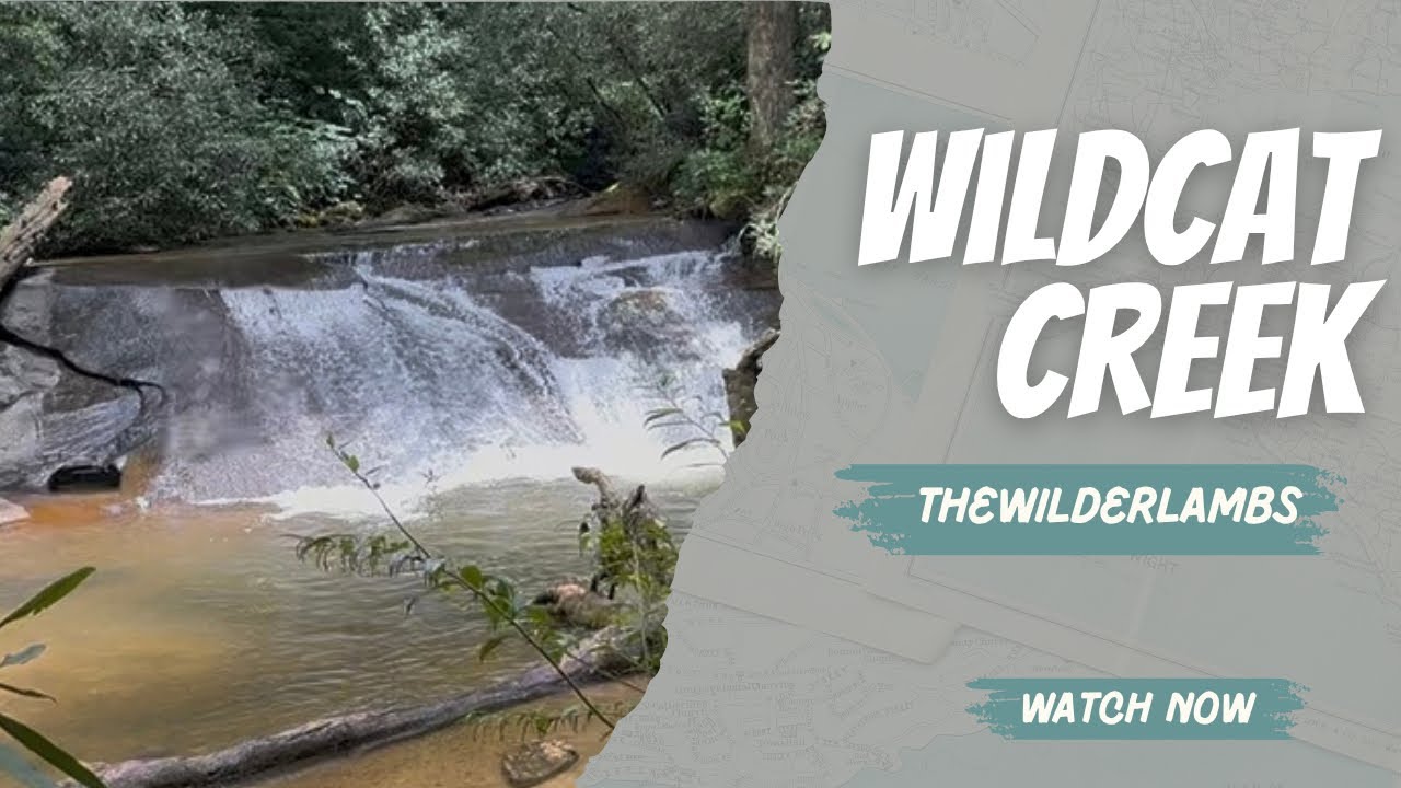Ep. 18 Wildcat Creek
