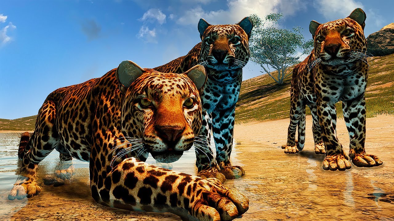 Familia de Leopardo Elder!  Disputa de Território Com Leão PT/BR - Animalia Survival