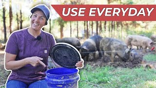 20 MustHave Tools for Pastured Pigs