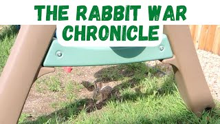 How To Keep Rabbits Out of The Yard: Tips and Guide