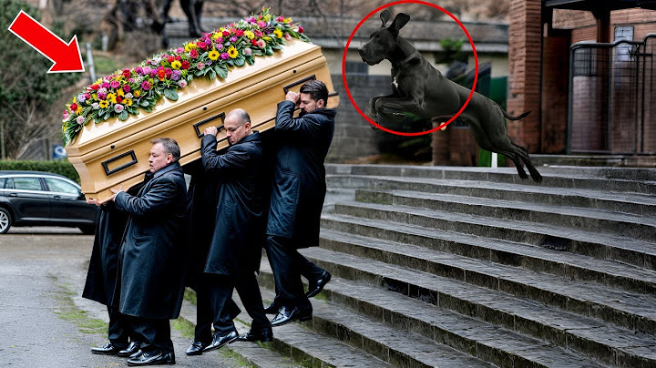PAS JE PREKINUO SAHRANU SKOČIVŠI NA KOVČEG, A KAD SU GA OTVORILI, SVI SU OSTALI ZAPANJENI!