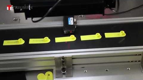 Triumphlaser CCD Automatic Visual Positioning Fiber Laser Marking Machine
