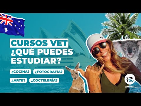 Video: ¿Qué universidades ofrecen cursos puente?