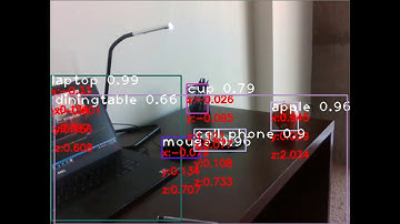 YOLO-416 Slow FPS Capture Demo