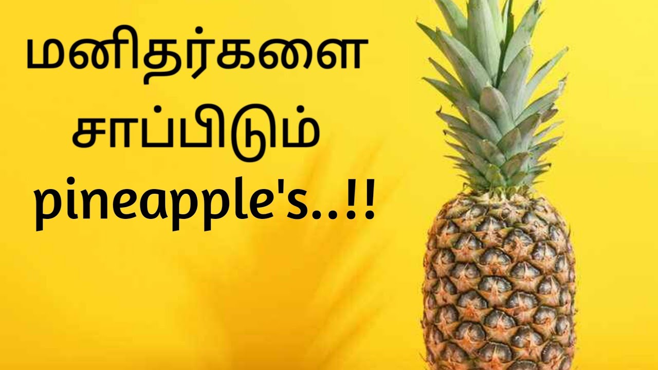 Flesh Eating PINEAPPLE's.. ! Pineapples will eat you when you eat them