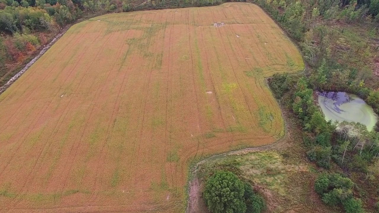 Farm for sale berlin center YouTube