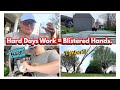 Spend The Day With Us ‼️Garden Prep - Crockpot Meal - Pure Exhaustion