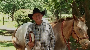 Lies - Family Time with Angus Buchan