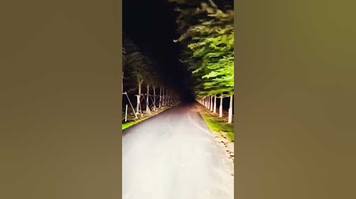 HAUNTED ROAD💀.#shorts#ghost#bhoot#Spirit#hauntedroad#like#subscribe#tree#100kview#youtube