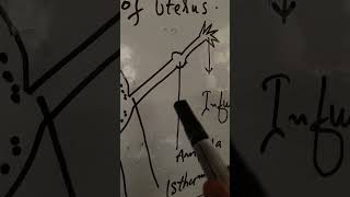 Assisted Reproductive technology TECHNOLOGY 🎭