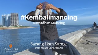 Mancing Ikan Pinggiran Dam Muara Baru Jakarta Panen Ikan Samge