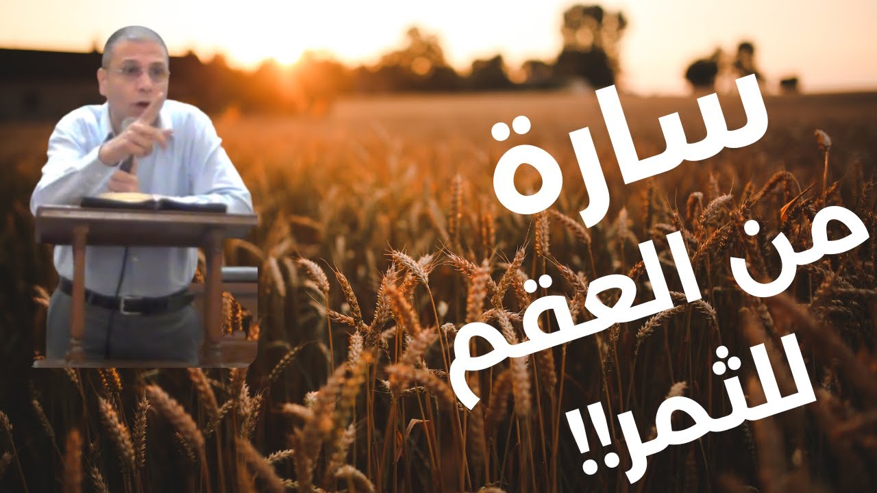 سارة