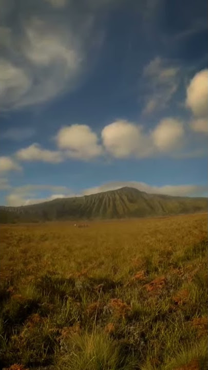 STORY WA SORE HARI MENJELANG SENJA 2020