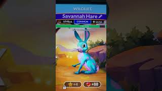 Wordscapes Savanna Hare, level 6, activity dance (with music). I think he ate some mushrooms.