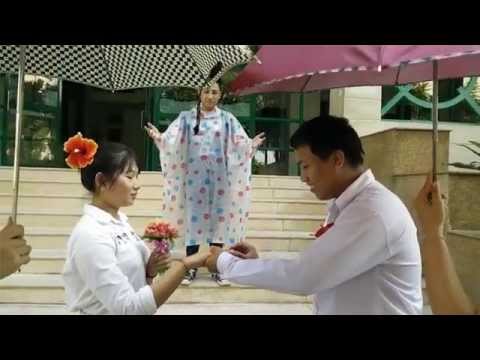 Video Bài tập Pháp luật: Phân chia tài sản thừa kế - youtube