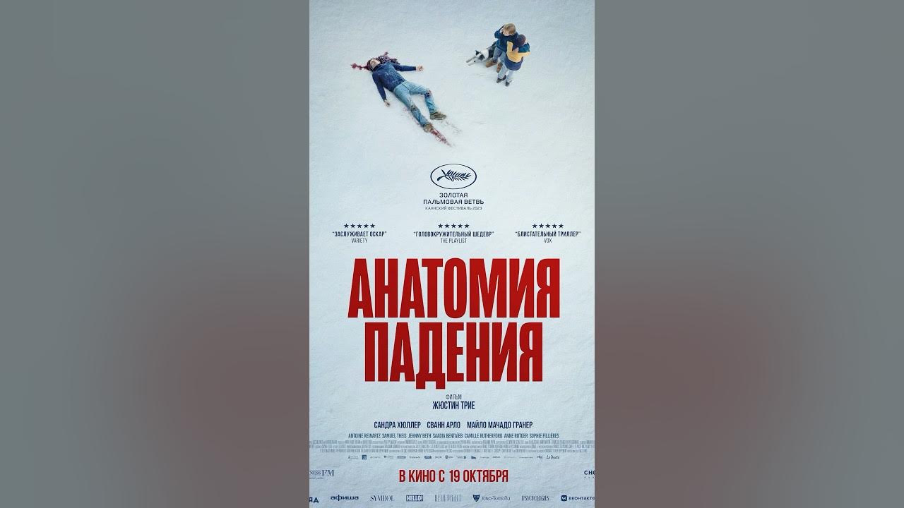 Анатомия падения чем закончился. Анатомия падения чем закончился
