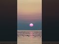 Color Shift at Dusk | Setouchi in Motion
