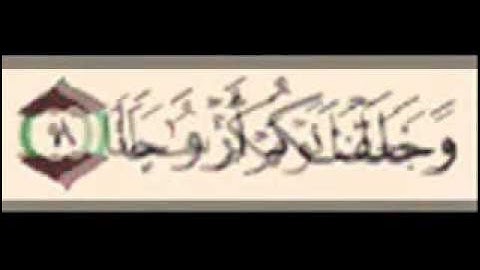 سورة النبأ عم يتسألون للقاري الشيخ أحمد بن علي العجمي