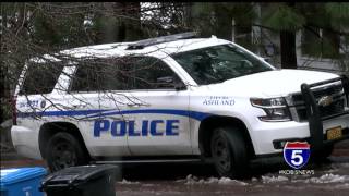 12 year old accused of killing mother, stabbing sister