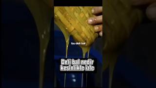 Delibal Nedir Neden Halüsinasyon Gösterir Resimi