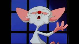 “Pinky and the Brain – The Plan to Take Over the World (Intro Theme)”