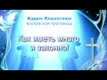 Вадим Плахотнюк Как иметь много и законно