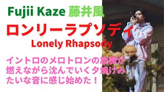 🍃 「ロンリーラプソディ Lonely Rhapsody 」 曲紹介 Song