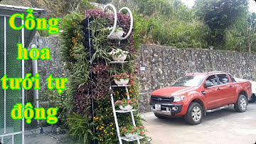 Cổng hoa khai trương -  tưới tự động|| DCA WORK