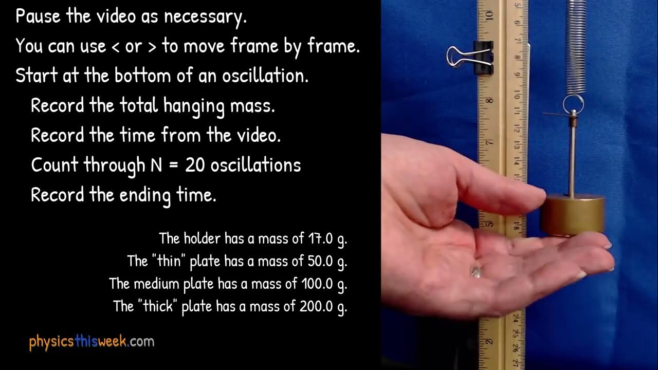 Oscillations Lab YouTube