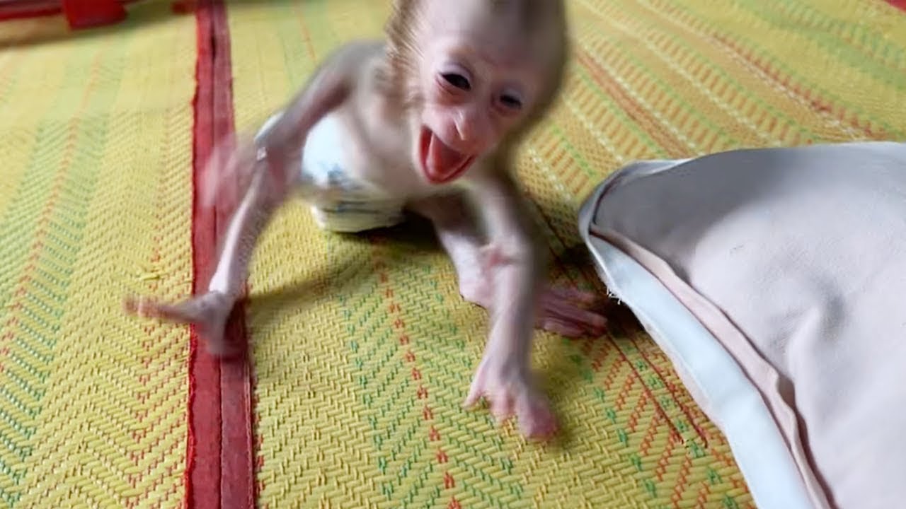 Baby Dorn Become Big Tantrum After Long Time Mom Not Pick Up