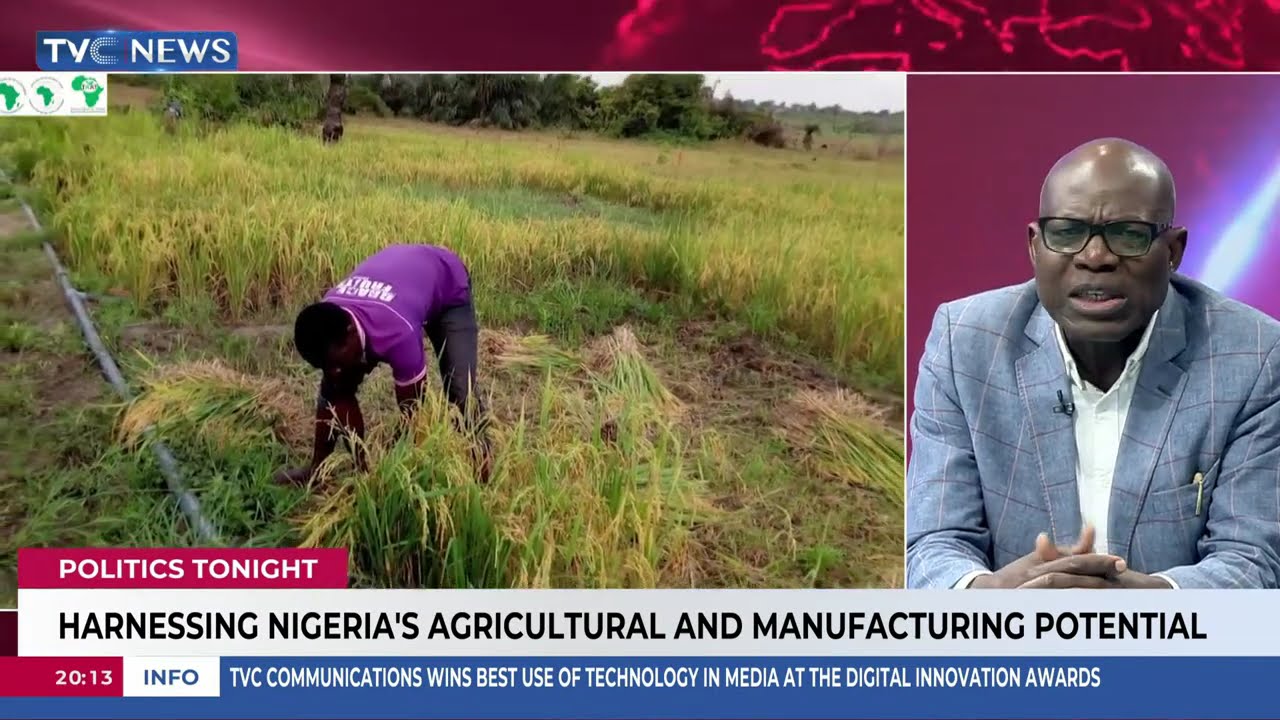Agricultural Productivity Is Suffering At Its Lowest Level In Nigeria - Dan Kunle