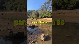 Assim como um riacho bem cuidado flui sem parar, o fluxo...