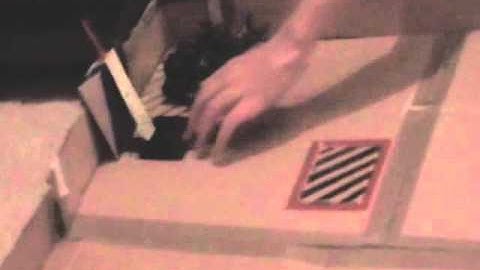 New intro for Extreme 3 and Series 29!