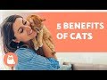 5 BENEFITS of Having a CAT 😻 For Health and Happiness