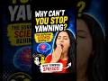 Why Can't You Stop Yawning?