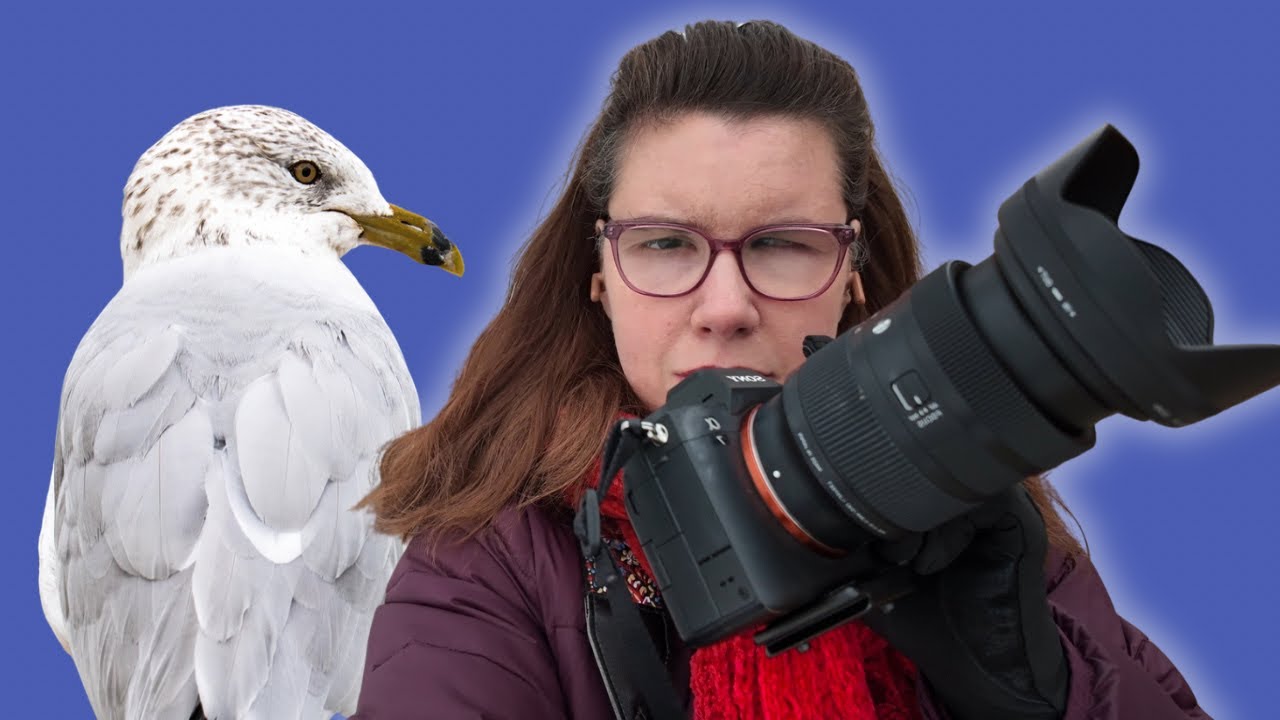 Photographing Rare Birds