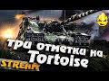 ★ Два с половиной часа Торта или тортоВ ★