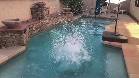 Wellness dive Andy lomas