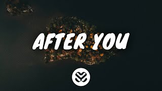 Gryffin & Jason Ross - After You (Lyrics) ft. Calle Lehmann