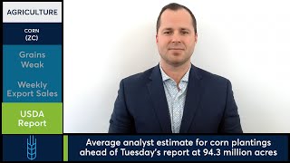 Corn futures slide ahead of quarterly planting report. 3/27/26