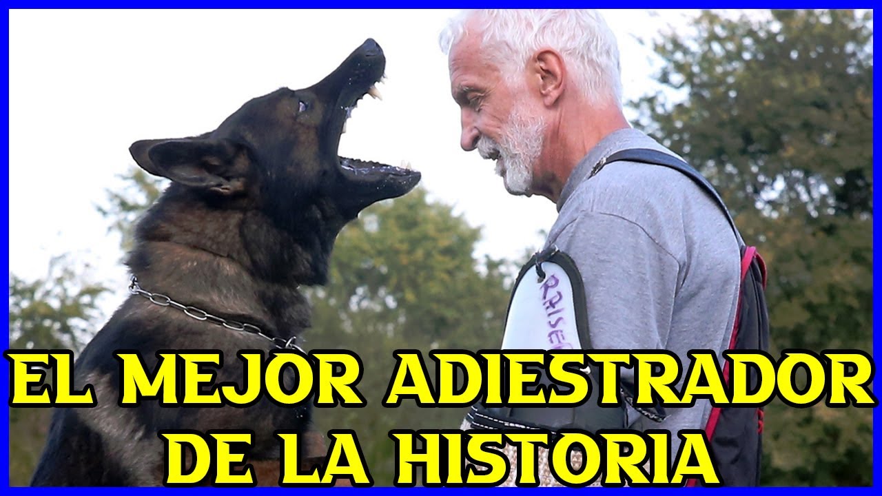 🏆El mejor adiestrador canino de la historia🧔🐺(resubido)