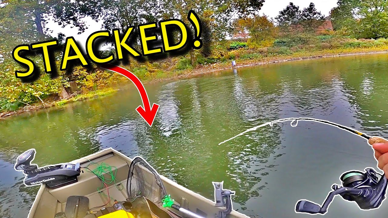 Hybrid Striped Bass Fishing on the Ohio River! (So Many Fish!!) - YouTube