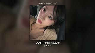 Yves - White Cat Sped Up