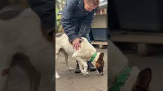 Dar - Aktiver Abenteurer ❤️ (ARK, Ukraine)