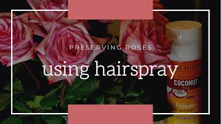 Preserving Roses Hairspray & Hanging Method
