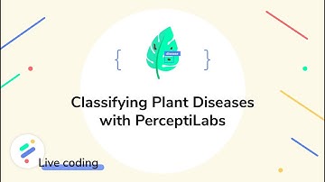 PerceptiLabs Live Coding: Classifying Plant Diseases