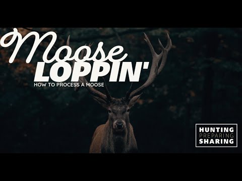 How to process a moose